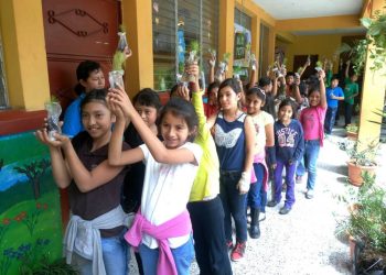 Reforestando Atitlán para un Futuro Verde permitirá sembrar 100 mil árboles