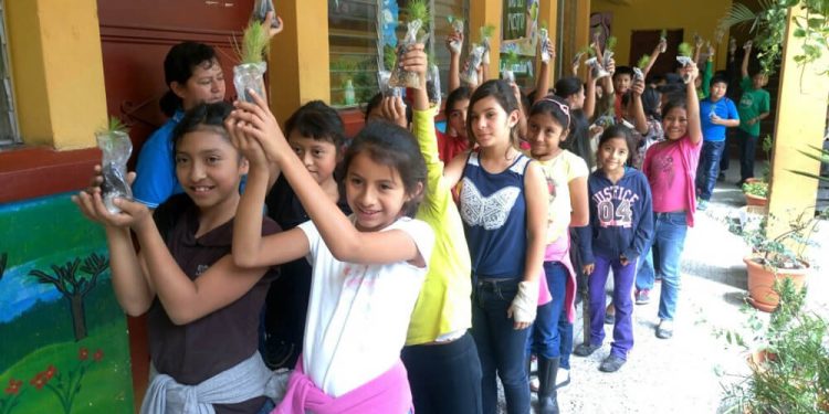 Reforestando Atitlán para un Futuro Verde permitirá sembrar 100 mil árboles