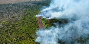 Incendios forestales en Guatemala, tardará un siglo para restaurar la selva perdida