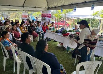 En Quiché impulsan rueda de negocios como parte del Programa de Alimentación Escolar