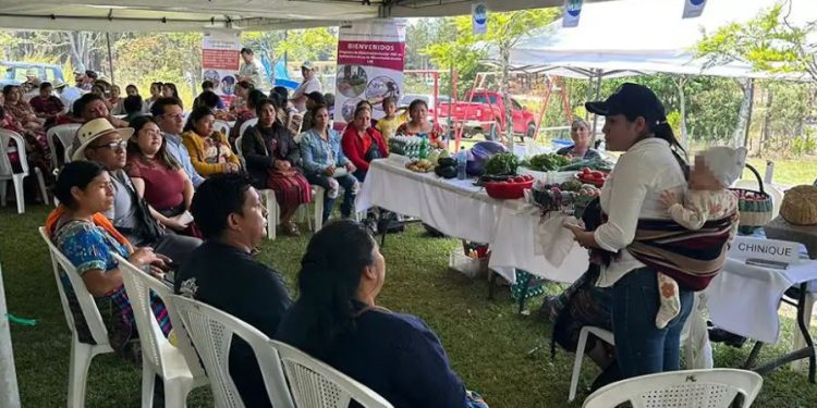 En Quiché impulsan rueda de negocios como parte del Programa de Alimentación Escolar