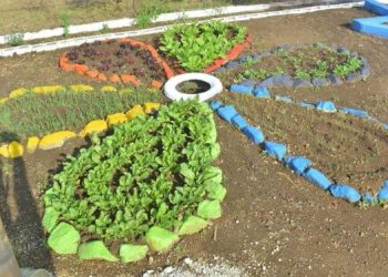 Estudiantes aprenden agricultura y nutrición en Baja Verapaz