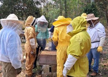 Impulso al desarrollo apícola sostenible en Dolores, Petén