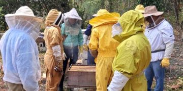 Impulso al desarrollo apícola sostenible en Dolores, Petén