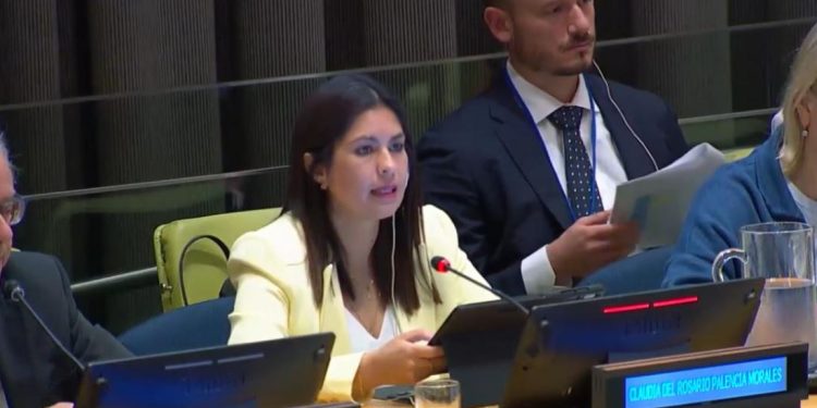 Viceministra de Seguridad destaca avances en foro internacional de la ONU