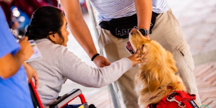 Hogar Virgen del Socorro recibe la visita de Sinerigia Dorada, un programa de perros de servicio y soporte emocional. /Foto: Obras Sociales del Santo Hermano Pedro.