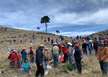 70 mil árboles serán plantados como parte de la campaña Sembrando Huella en San Marcos