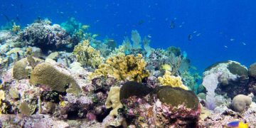 Alertan sobre protección del agua enfocada en los océanos. / Foto: Archivo.