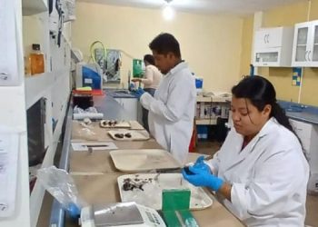 Aprendizaje tecnológico se ha desarrollado a nivel social por miles de años. / Foto: MAGA.