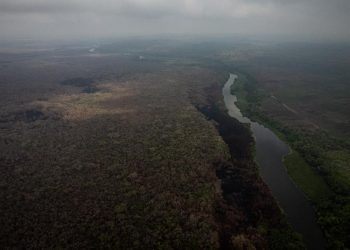 Los incendios forestales consumieron más de 15 mil hectáreas de bosque en la selva maya de Petén.