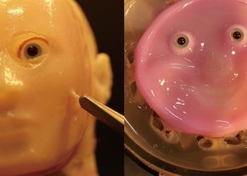 La piel que desarrollaron los científicos japoneses hecha a base de células humanas tiene propiedades de autocuración, propias de la piel biológica.