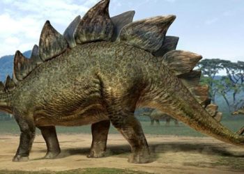 Descubren forma de anidación de grandes dinosaurios. / Imagen: 800noticias