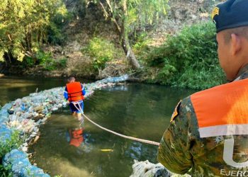 El Ejército contribuye a la conservación del medio ambiente. / Foto: Mindef.