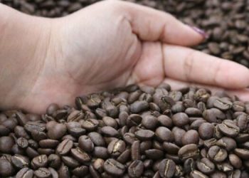 El café es uno de los productos con los que se posiciona Guatemala. / Foto: DCA.