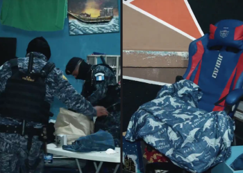 Las fuerzas de seguridad realizaron el hallazgo de varios ilícitos, entre estos cocodrilos, en El Infiernito.