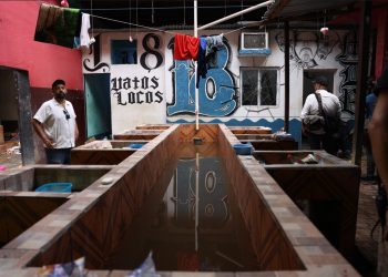 Equipo y animales localizados en el centro carcelario El Infiernito