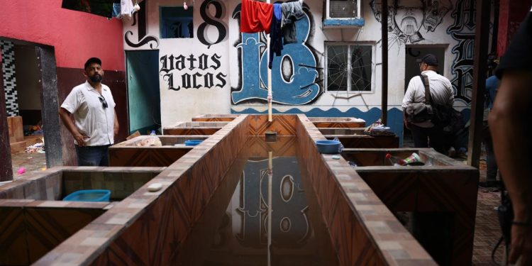 Equipo y animales localizados en el centro carcelario El Infiernito