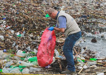 AMSCLAE lidera esfuerzos para limpiar orillas del lago Atitlán ante el incremento de lluvias. / Foto: AMSCLAE.