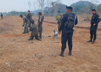 Gobernación logra la destrucción de tres pistas clandestinas en Petén