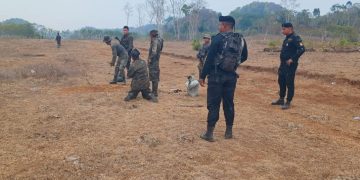 Gobernación logra la destrucción de tres pistas clandestinas en Petén