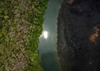 Un humedal afectado por los incendios en el Parque Nacional Laguna del Tigre el 13 de junio de 2024, contuvo el fuego que destruyó decenas de hectáreas de bosque.