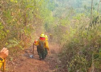 Conred reporta 87 incendios activos, de los cuales 46 se ubican en Petén