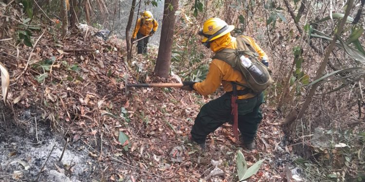 Conred reporta 59 incendios activos en el país