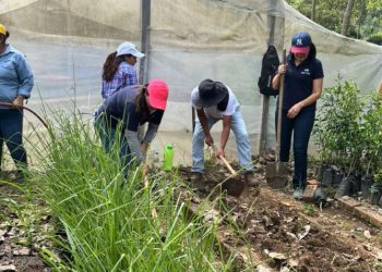 Instalan huertos de plantas medicinales en Guatemala