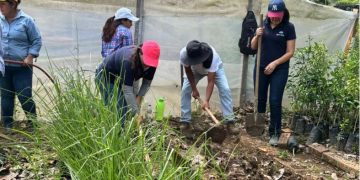 Instalan huertos de plantas medicinales en Guatemala