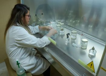 La Senacyt financia el Laboratorio de reproducción y desarrollo in vitro ubicado en San Lucas, Sacatepéquez, por medio del programa ProInnovaCTi en la línea de financiamiento EmprendeCTi.
