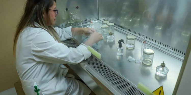 La Senacyt financia el Laboratorio de reproducción y desarrollo in vitro ubicado en San Lucas, Sacatepéquez, por medio del programa ProInnovaCTi en la línea de financiamiento EmprendeCTi.