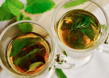 La naturaleza provee antibióticos aún no estudiados. / Foto: iSalud.