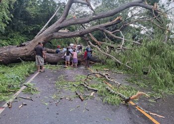La Conred ha reportado 514 incidentes ocurridos a consecuencia de la época de lluvias 2024, en Guatemala. / Foto: Conred.