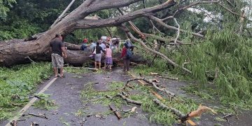 La Conred ha reportado 514 incidentes ocurridos a consecuencia de la época de lluvias 2024, en Guatemala. / Foto: Conred.