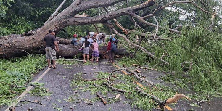 La Conred ha reportado 514 incidentes ocurridos a consecuencia de la época de lluvias 2024, en Guatemala. / Foto: Conred.