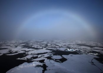 Misión científica analiza cambio climático en el Ártico. / Foto: Portal Ambiental.