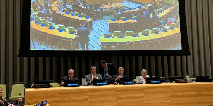 Presidente Bernardo Arévalo en la Comisión para la Consolidación de la Paz (PBC)
