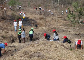 Invitan a jóvenes a participar en programa de mitigación del cambio climático