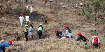Invitan a jóvenes a participar en programa de mitigación del cambio climático