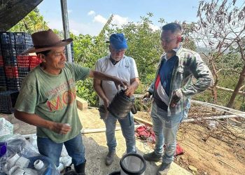 Riego por goteo beneficiará producción de ejote francés