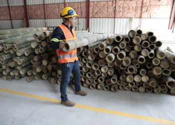 El bambú es un producto que puede ser utilizado para crear artículos sostenibles. /Foto: Noé Pérez.