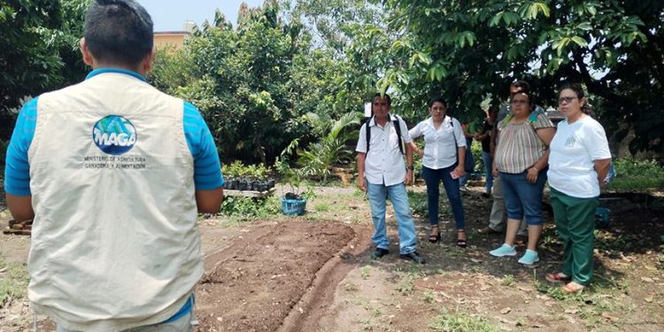 Proyecto Huertos Escolares, un paso hacia la educación y la salud