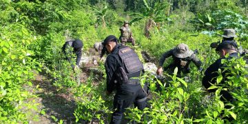 Erradican matas de coca en Petén. / Foto: PNC.