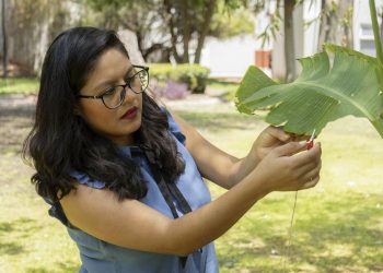 La científica mexicana Laura Xochit'l Cruz creó un dispositivo para generar música a base de sonidos de las plantas.