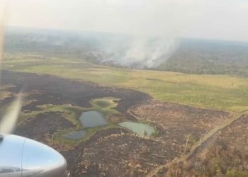 Reportan 18 incendios activos y 519 incendios controlados en Petén