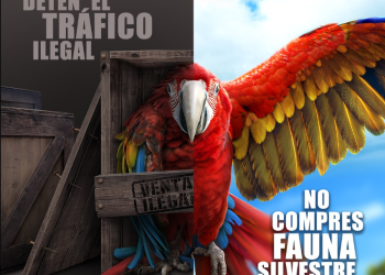 ALPZA impulsa acciones contra el tráfico ilegal de fauna silvestre. / Foto: ALPZA.
