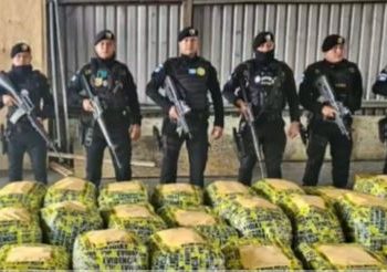 Un golpe al narcotráfico en Santo Tomás de Castilla