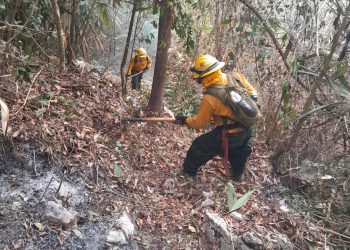 Continúan 90 incendios activos en el territorio nacional