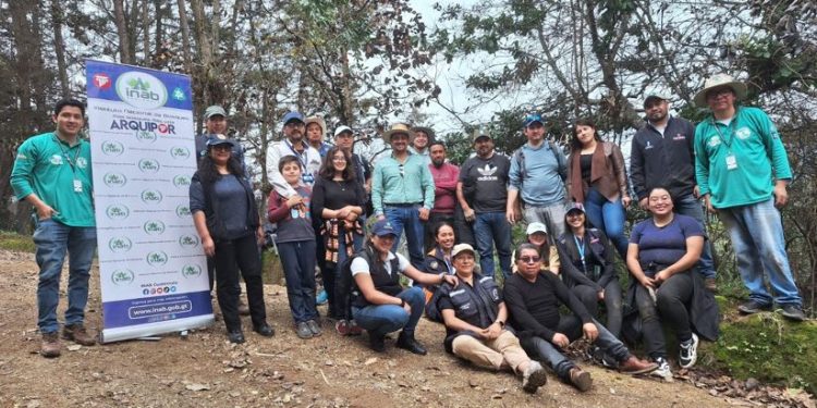Impulsan jornada de reforestación en San Pedro Sacatepéquez, San Marcos