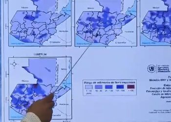 MAGA monitorea lluvias que pueden poner en riesgo cultivos para brindar atención